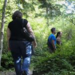 Juneau: Mindfulness in the Wilderness - The Itinerary Breakdown