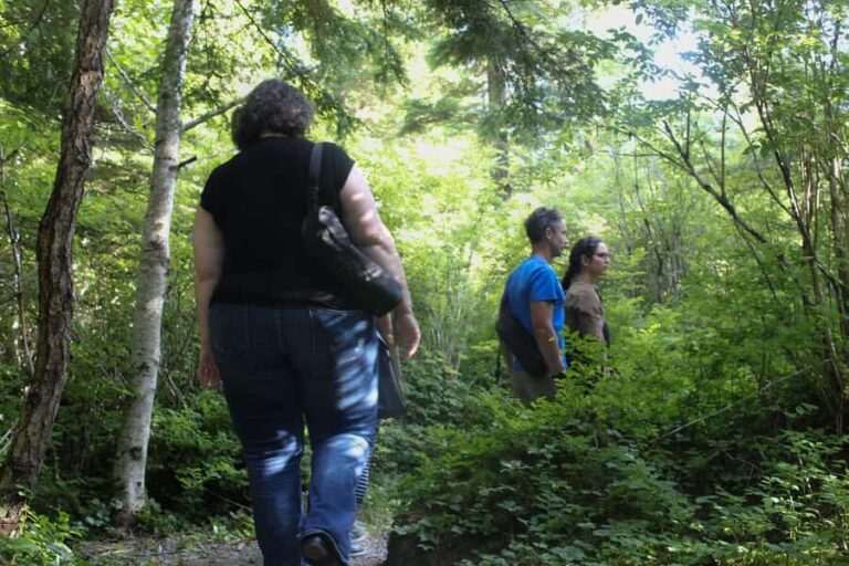 Juneau: Mindfulness in the Wilderness - The Itinerary Breakdown