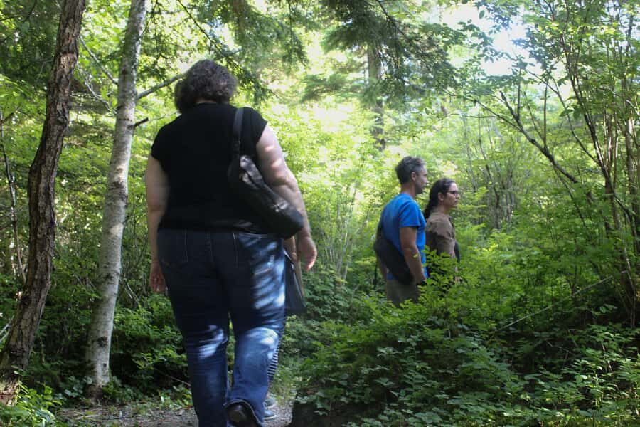 Juneau: Mindfulness in the Wilderness - The Itinerary Breakdown