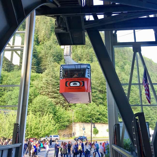 Juneau: Mount Roberts Tram Ride with App and Map - The Trails and Cultural Exhibits