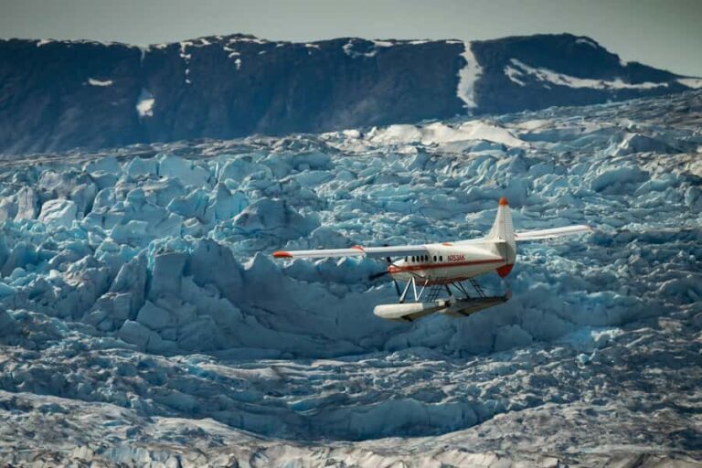 Juneau: Taku Glacier Lodge 5-Glacier Flight & Feast - Practical Details and What They Mean for You