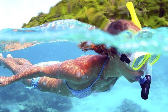 Jungle Adventure Tour in Cancun by Speedboat with Snorkeling - The Experience and Its Reviews