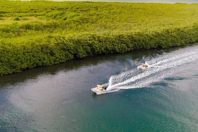 Jungle Adventure Tour! Speed boat and Snorkeling (Single) - The Sum Up