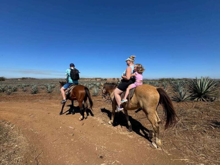 Jungle and beach horseback ride + lunch + mezcal - Why This Tour Works for Travelers