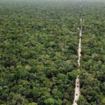 Jungle ATV, Cenote and Snorkel with Sea Turtles Adventure - What Travelers Say About This Tour