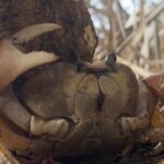 Jungle & Beach: Hidden treasures between the Jungle and the Coast - What’s Included and What’s Not