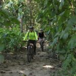 Jungle Bike Tour - Authenticity, Value, and Practicality