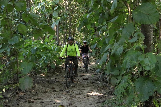 Jungle Bike Tour - Authenticity, Value, and Practicality