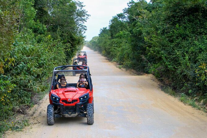 Jungle Buggy Tour from Playa del Carmen Including Cenote Swim - The Highlights and Downsides