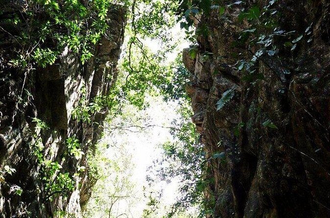 Jungle Hiking Adventure and Waterfall Swim. Nogalito Ecopark - Frequently Asked Questions