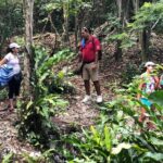 Jungle Jeep Adventure to Mayan Caves, Cenote and Snorkel - Practical Details and Value