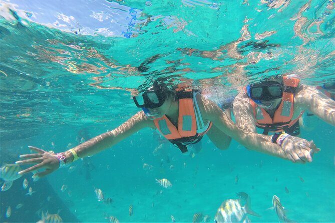 Jungle Tour and Mayan Experience in Cancun with Lunch - The Experience from a Traveler’s Perspective