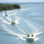 Jungle Tour - Mangroves & Snorkel For Couples - Practical Tips for Your Tour