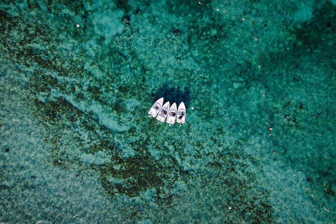 Jungle Tour & Snorkel at Punta Nizuc Reef , Underwater museum - What the Reviews Tell Us