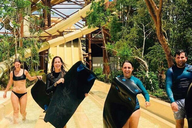 Jungle - The Attractions: What You Can Expect