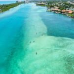 Jupiter Clear Kayak Guided Tour - An In-Depth Look at the Experience