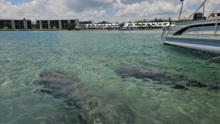 Jupiter: Private Sightseeing Boat Tour With Wildlife - Why This Tour Represents Great Value