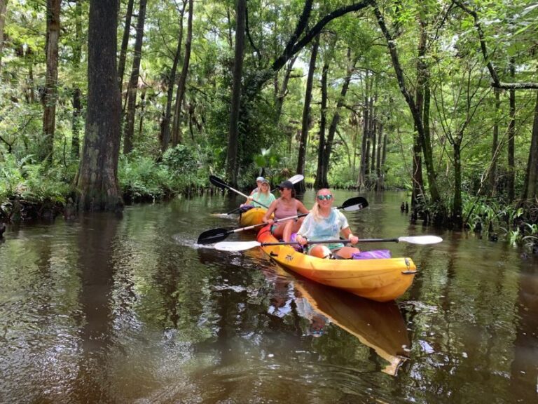 Jupiter: Wild and Scenic Loxahatchee River Kayak Tour - What Makes This Kayak Tour Stand Out