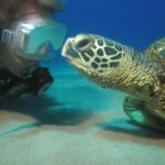 Kaanapali Lahaina: Intro Scuba Dive in Maui Strong Swimmers - Who Should Consider This Tour?