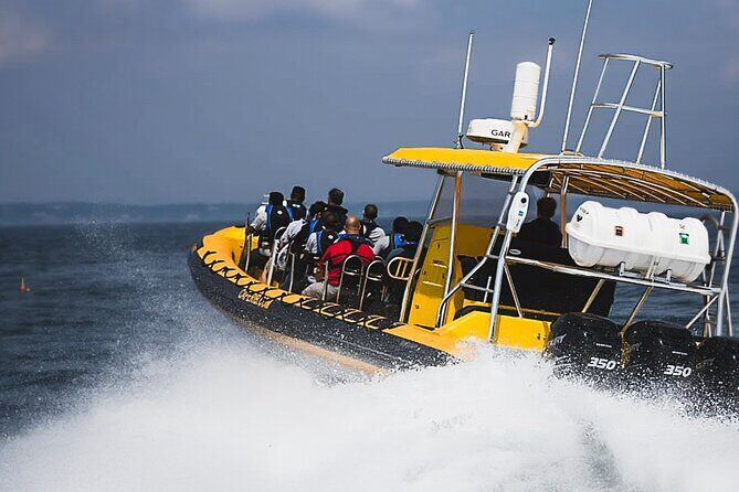 Kailua-Kona Adventure Whale Watch - Who Should Consider This Tour?