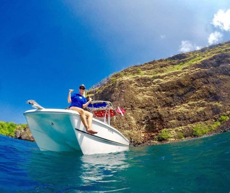 Kailua Kona: Dolphin, Sea Cave and Captain Cook Snorkel Tour - The Value and Practical Details