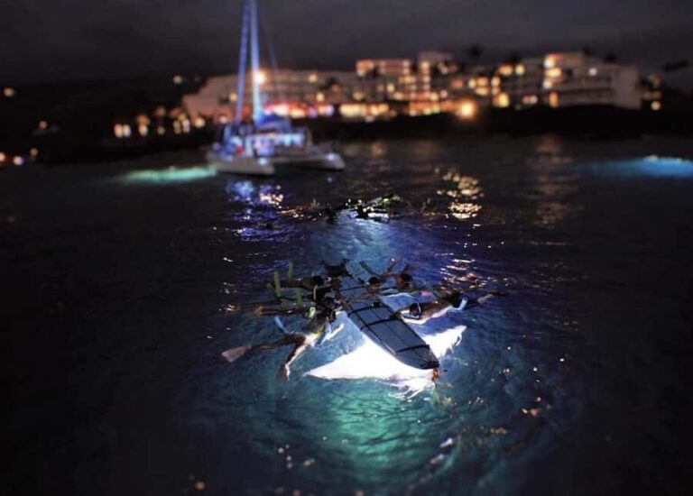 Kailua-Kona: Late Night Snorkeling Adventure with Manta Rays - Key Points