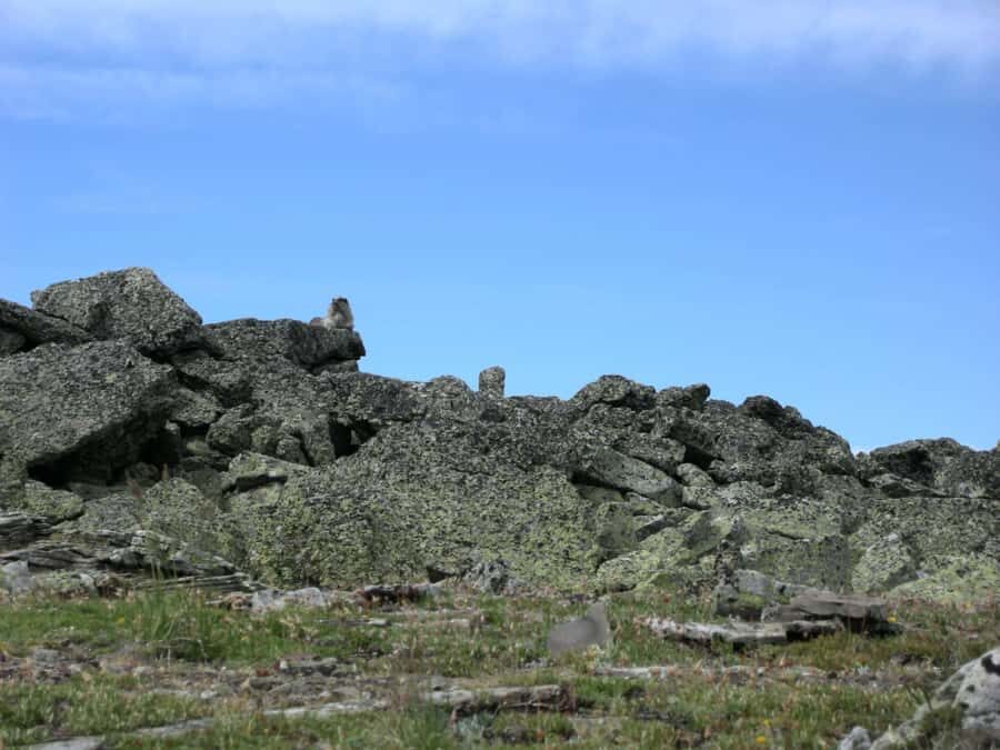 Kananaskis Country: Day Hike - The Practical Side: What to Expect