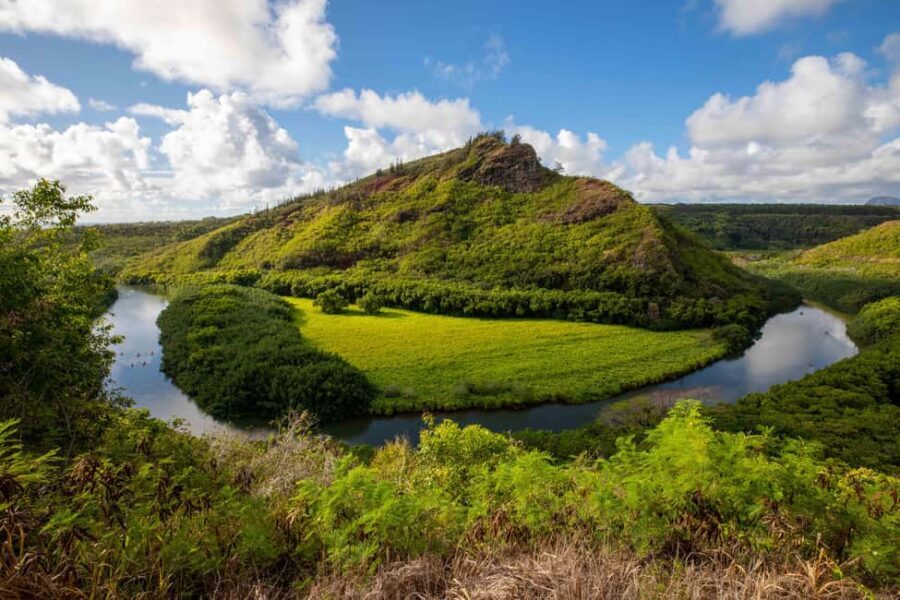Kauai East Side and North Shore: Waterfalls & Beaches Tour - Why This Tour Works Well for Many Travelers