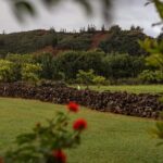 Kauai East Side SHARED Adventute - Why This Tour Delivers Good Value