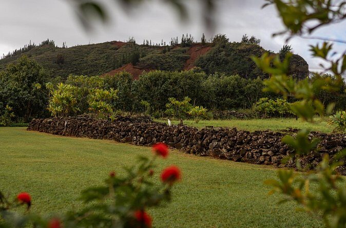 Kauai East Side SHARED Adventute - Why This Tour Delivers Good Value