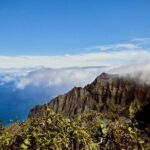 Kauai Full Day Tour with Cruise ships or Kauai Airport Pickup - Who Should Consider This Tour?