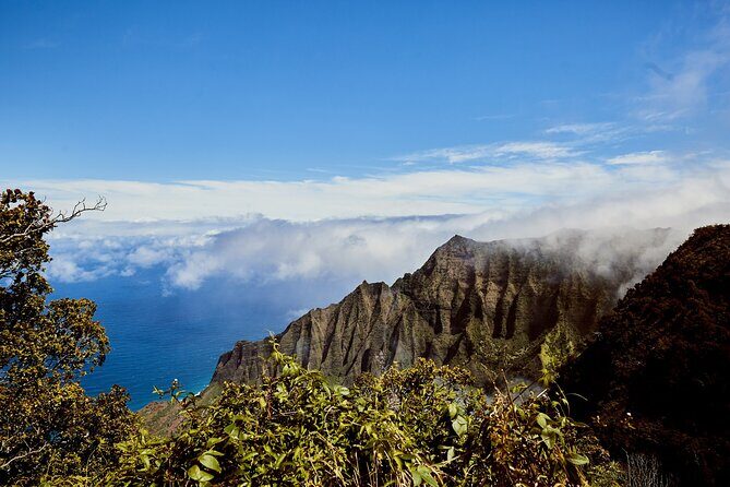 Kauai Full Day Tour with Cruise ships or Kauai Airport Pickup - Who Should Consider This Tour?