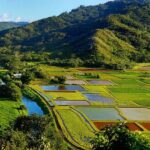 Kauai: Highlights & Movie Sites - An Overview of the Tour: What You Can Expect