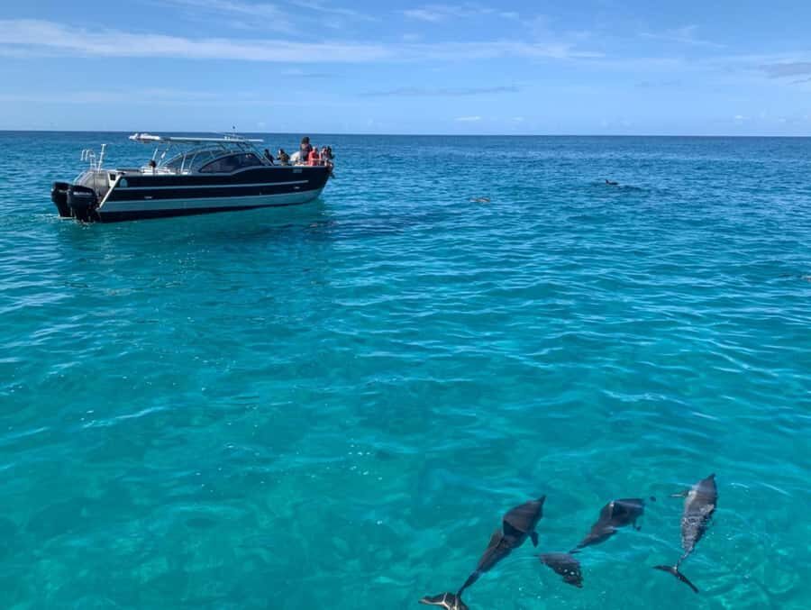 Kauai: Na Pali Coast Boat Tour with Cultural Captain & Crew - Detailed Breakdown of the Itinerary