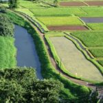 Kauai Northeast Tour, Fern Grotto River Cruise & Lighthouse - What’s Included and What to Consider