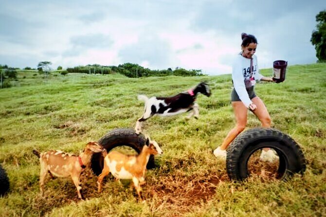 Kauai Private Baby Farm Animal Experience & Micro Dairy Immersion - Authentic Reviews and What They Tell Us