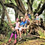 Kauai: Waimea Canyon & Kokee State Park Private Tour - Who Should Consider This Tour?