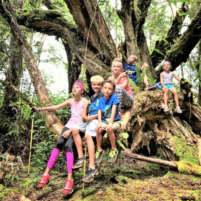 Kauai: Waimea Canyon & Kokee State Park Private Tour - Who Should Consider This Tour?