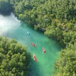 Kayak adventure through Laguna Nichupté in Cancun - Who Will Enjoy This Tour?