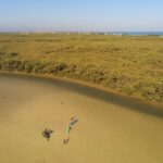 Kayak Experience in the Mangroves of Holbox Island - What’s the Itinerary? Exploring the Mangroves Step-by-Step