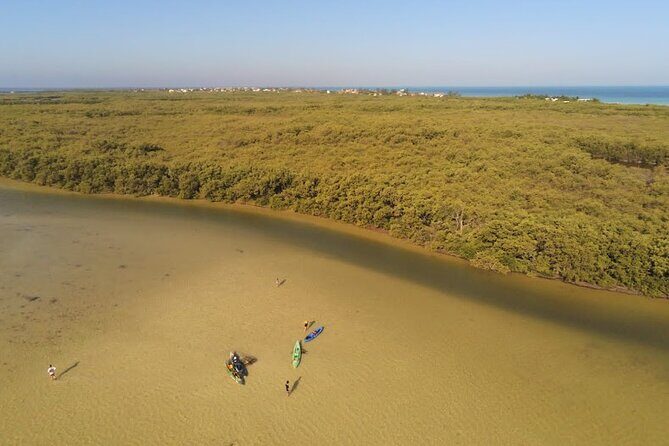 Kayak Experience in the Mangroves of Holbox Island - What’s the Itinerary? Exploring the Mangroves Step-by-Step