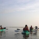 Kayak Mangroves Sunrise Experience - Authentic Experiences from Visitors