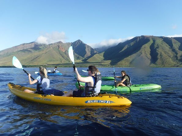 Kayak, Snorkel and Surf Package - The Experience Provider and Reviews