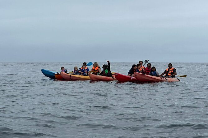 Kayak The Jacket and Flea market Private Tour - Walking through the Flea Market: No rush, just local flavor
