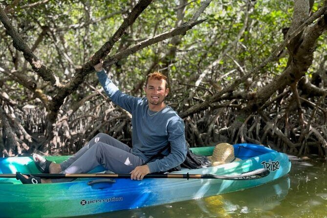 Kayak through Mangrove Forests in the Florida Keys - What Makes This Tour Special?