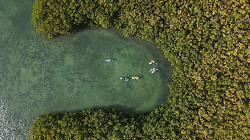 Kayak Tour in Cancun with Photos included - What Sets This Tour Apart