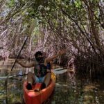 Kayak TOUR POR Laguna Nichupte Cancun - The Itinerary Breakdown