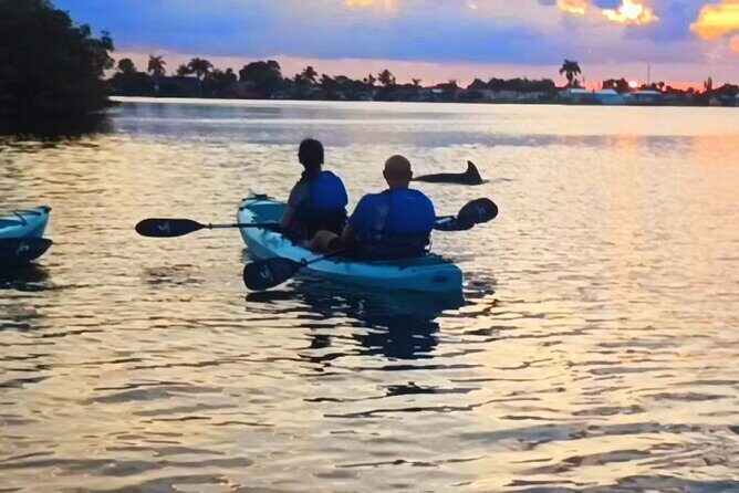 Kayak Tours and Rentals. Dolphins, Manatees, and Bioluminescence! - Who Might Want to Consider Other Options