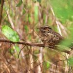 Kayaking Adventure at the Nichupte Lagoon in Cancun - What’s Included and What’s Not