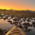 Kayaking adventure through the Xochimilco and Frida Kahlo Canals - Authenticity and Value